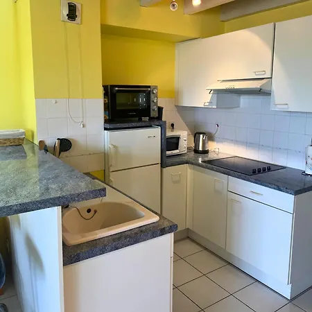 L'aurore - Terrasse - Duplex - Parking Διαμέρισμα *